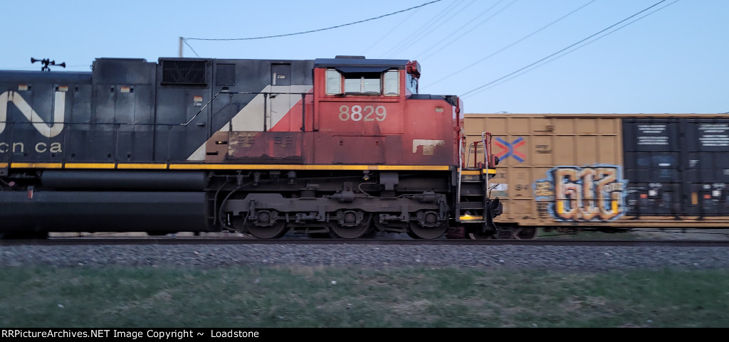 CN 8829